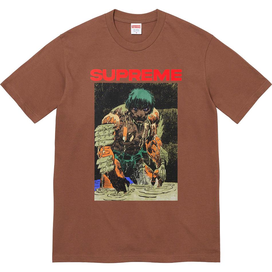 Brown Supreme Ronin Tee T Shirts | Supreme 391GL